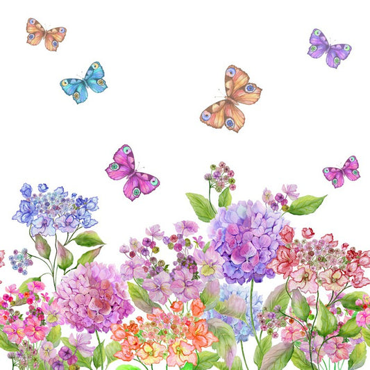 Candytuft garden