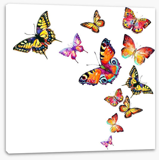 Butterflies
