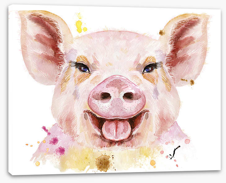 Happy hog