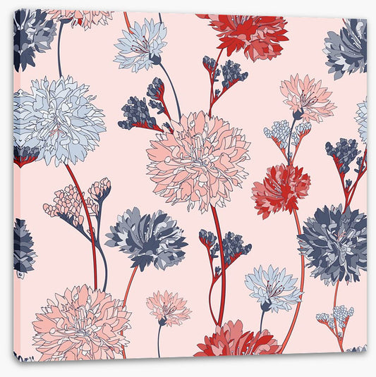 Chrysanthemum blush