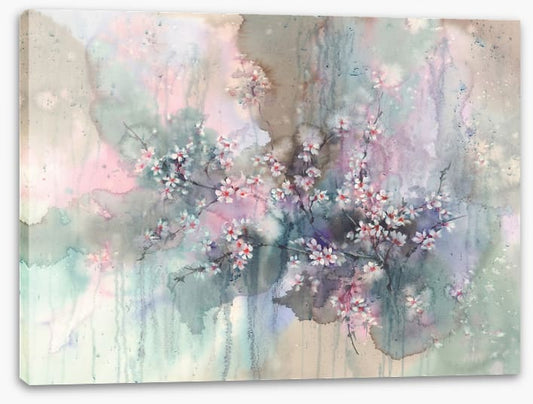 Sakura splash