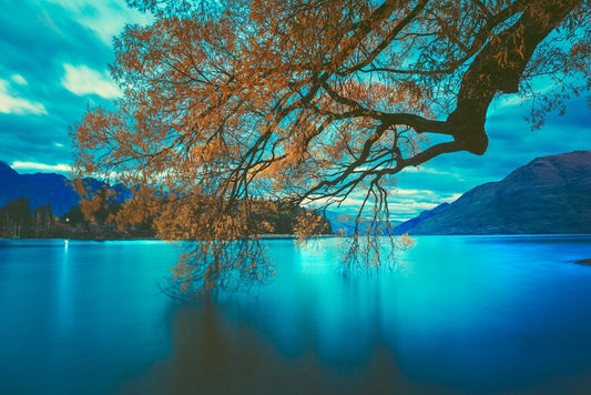 Lake Wakatipu twilight