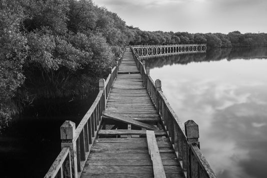 The broken bridge