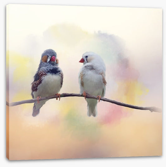Forever finches