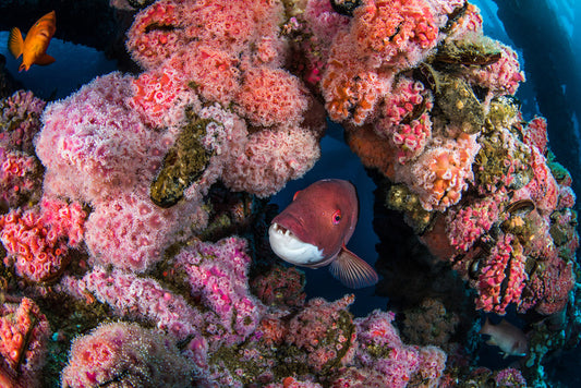 Underwater