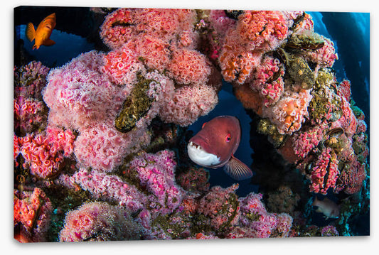 Underwater