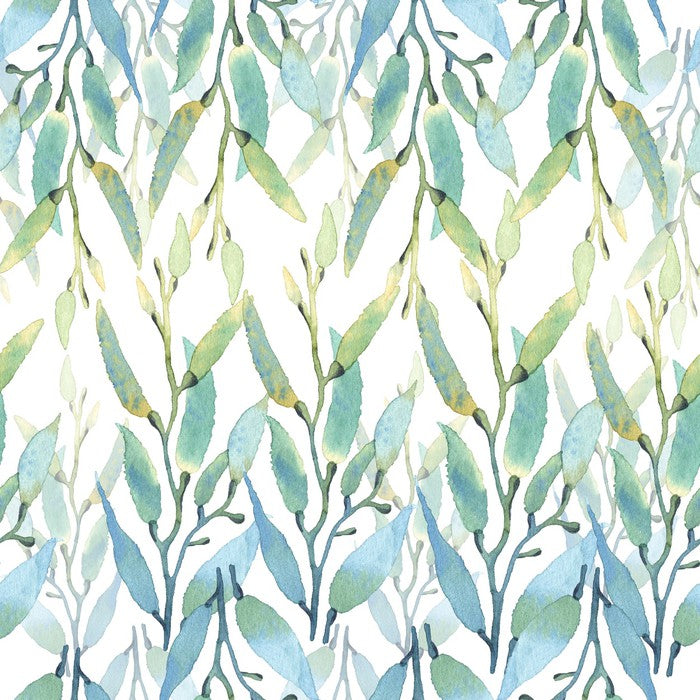 Seaweed sunlight