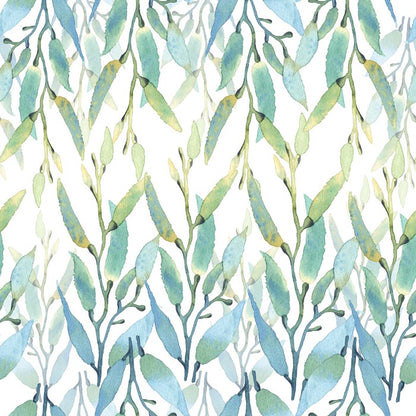 Seaweed sunlight