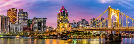 Pittsburgh city panorama
