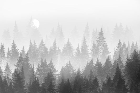 Shadow forest