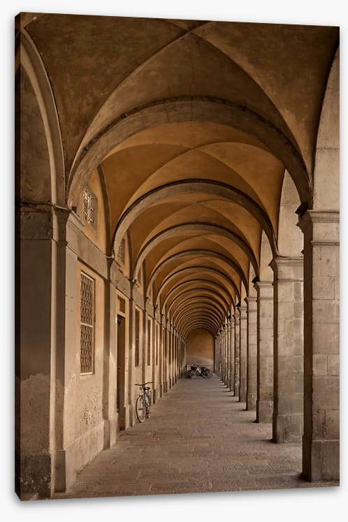 Colonnade of curves