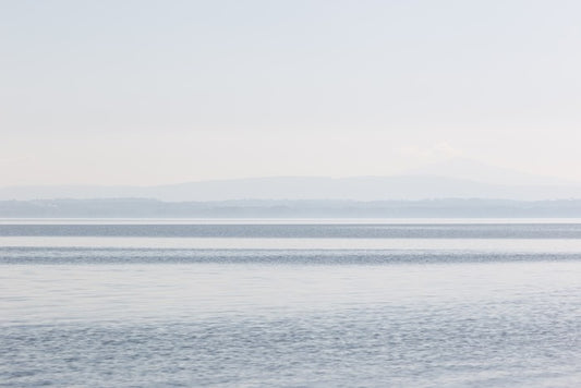 Shades of silence