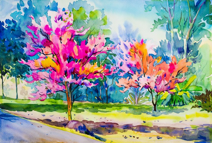 The cherry blossom lane