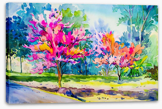 The cherry blossom lane