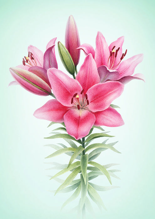 Floral