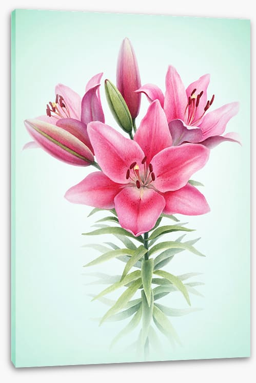 Floral