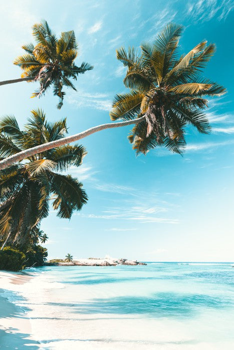 Breezy bay