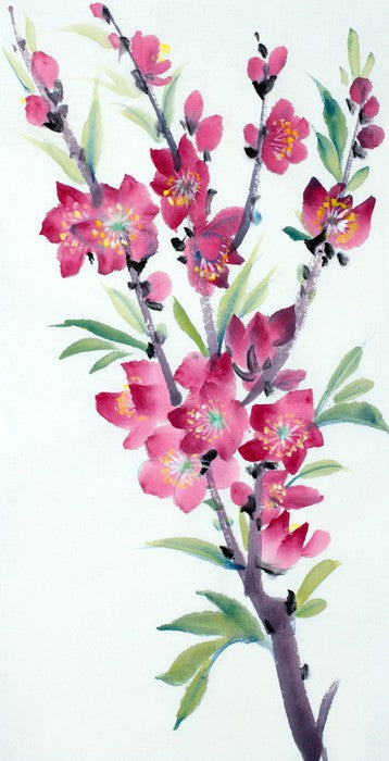 Pink peach blossom