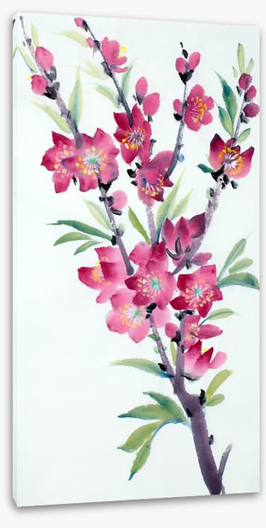 Pink peach blossom