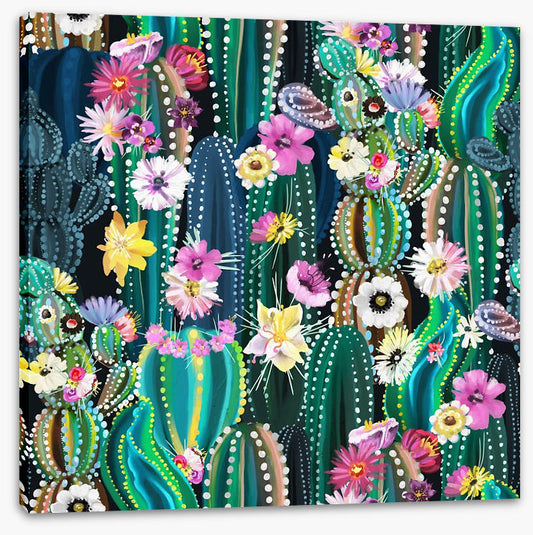 Blooming cactus