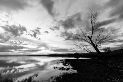 Drawn towards dawn