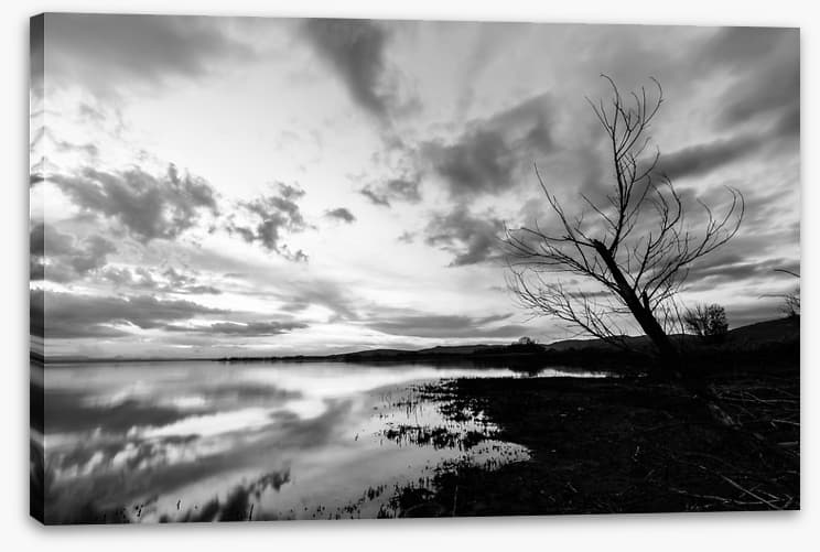 Drawn towards dawn