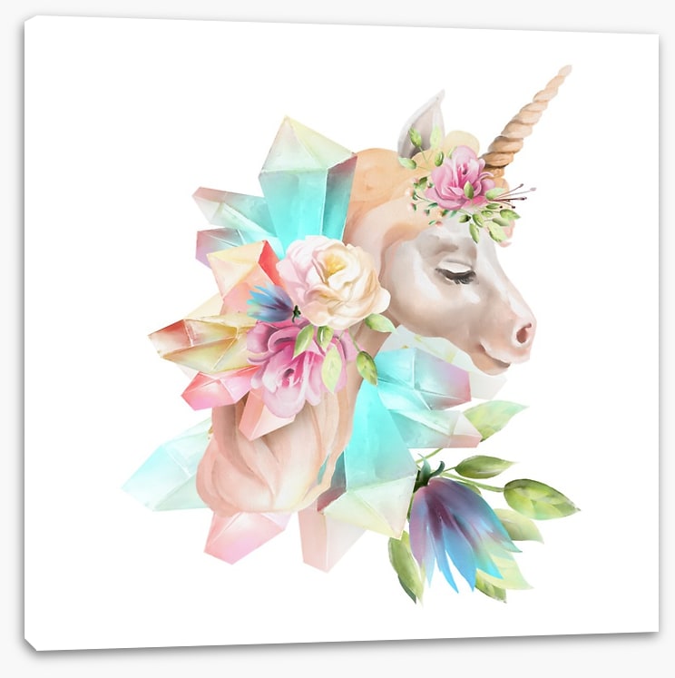 Crystal the unicorn