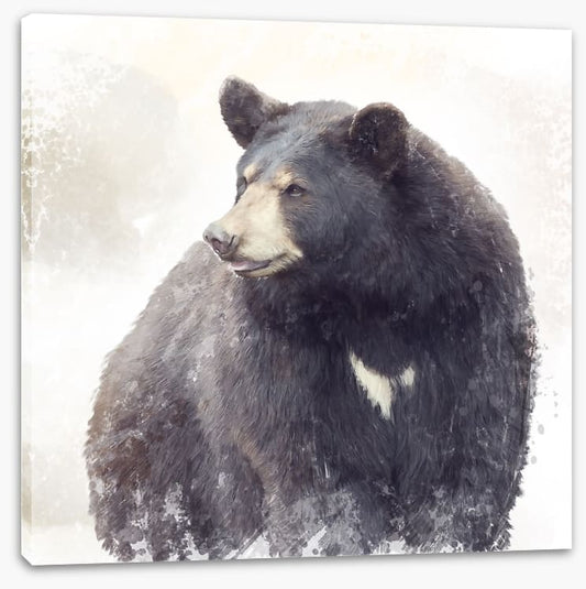 The black bear