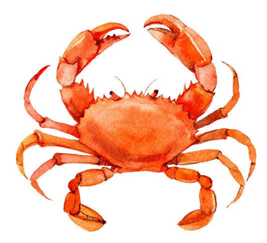 Cornish crab