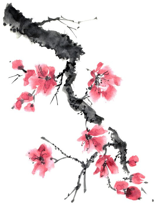 Apple blossom branch