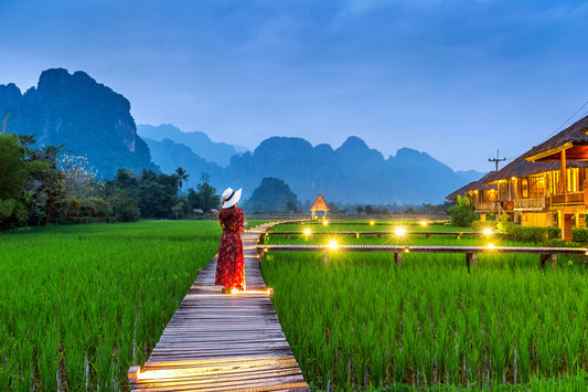 Path through the paddy