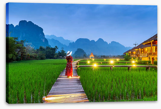 Path through the paddy