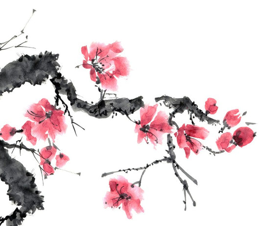 Apple blossom bloom