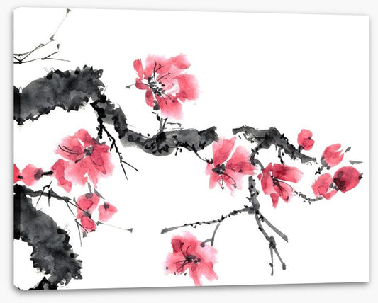 Apple blossom bloom