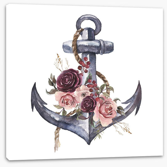 Rosy anchor