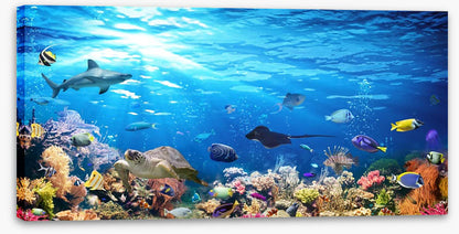 On the reef