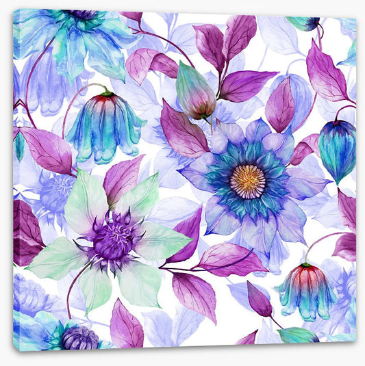 Creeping clematis