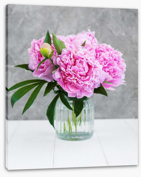Peony pretty