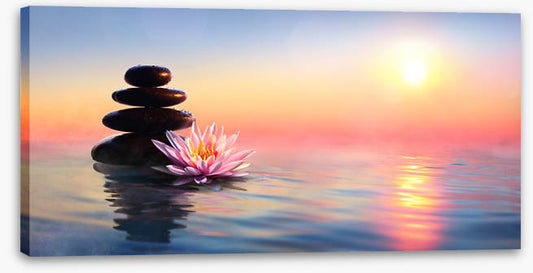 Waterlily sunset