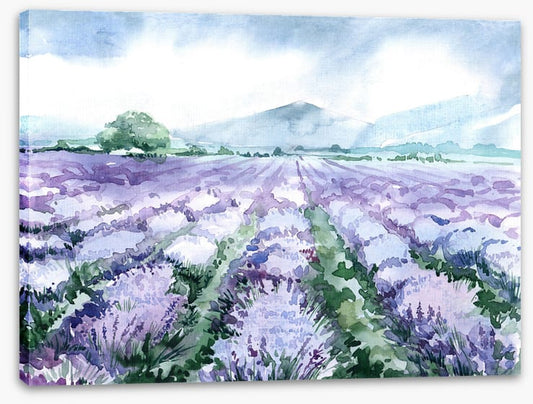 Lavandin aquarelle