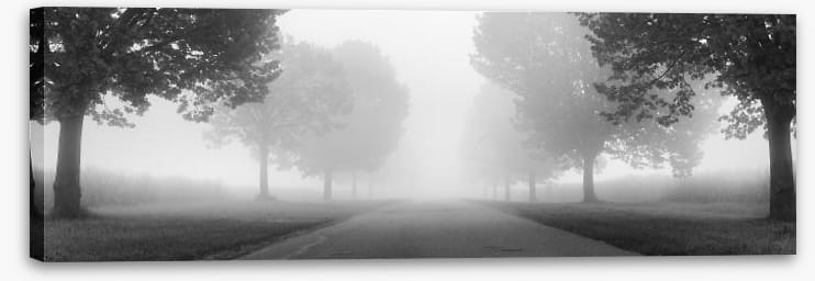 Into the mist
