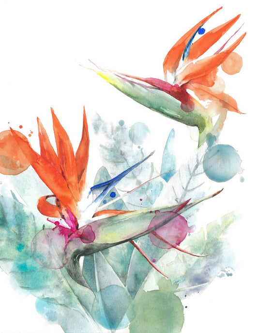 Paradise splash