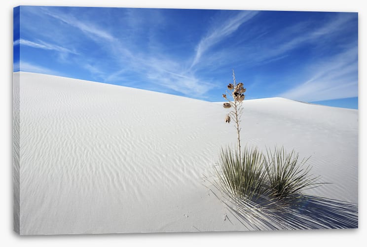 Desert