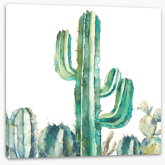 Saguaro standing tall