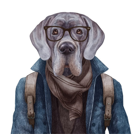 Hipster hound