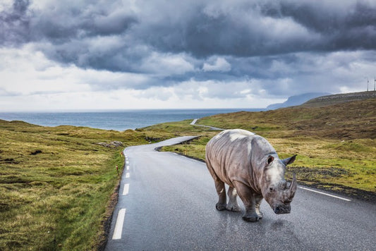 The lonely road