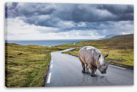 The lonely road