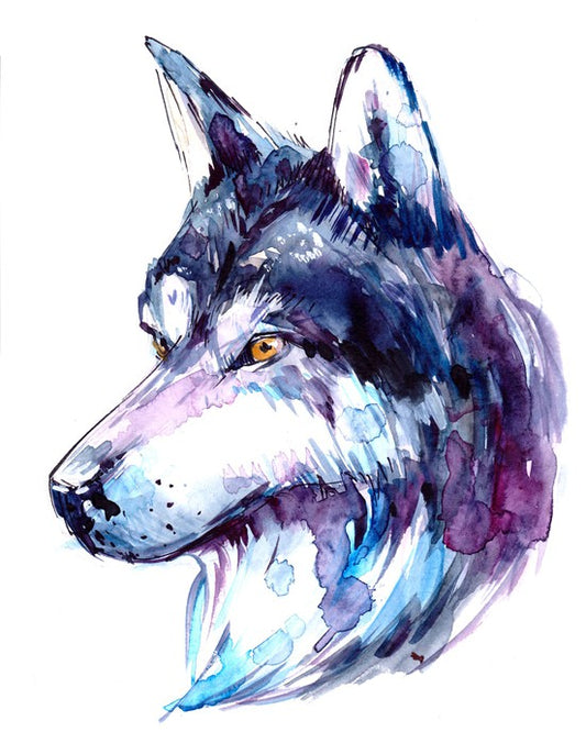 Animals