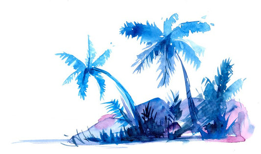 Beach House