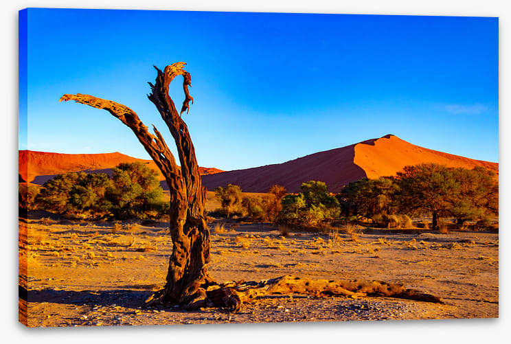 Desert